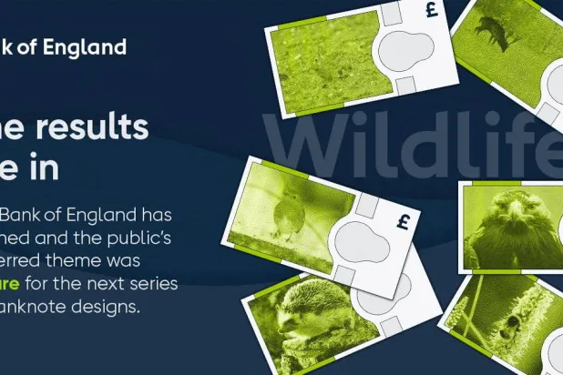 Barn Owls, Bees, Puffins and Hedgehogs to Feature on UK Banknotes