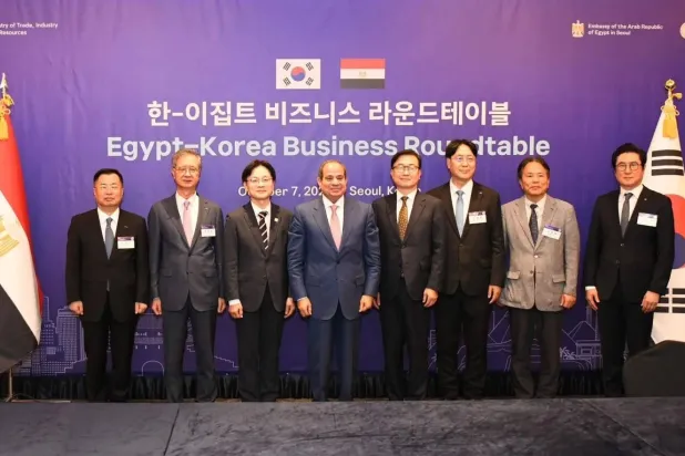 Egypt, South Korea Seek to Expand Strategic Partnership