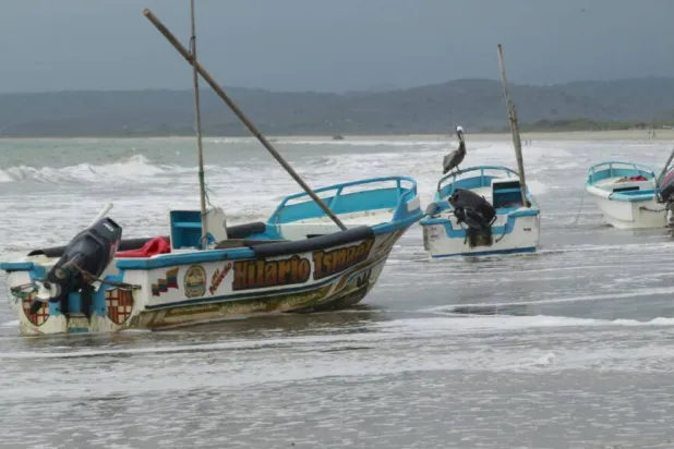 EU Monitor: El Nino Sets Temperature Record in Key Pacific Zone