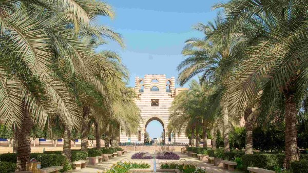 الجامعة الأمريكية بالقاهرة تطلق برنامجًا لتدريب 100 مهني أفريقي على قضايا المناخ