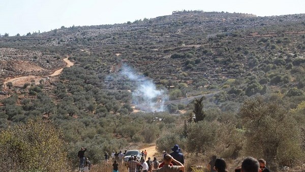 هيئة مقاومة الجدار: 34 اعتداءً للمستوطنين على مزارعي الزيتون الفلسطينيين خلال يوم