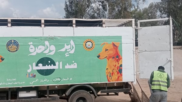محافظ الدقهلية: استمرار حملات التعامل مع الكلاب الضالة وتكثيف التحرك بالمناطق الأكثر تضررًا