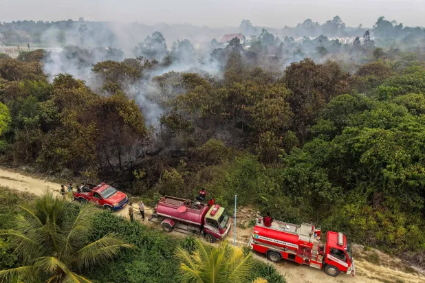 Damaged and Drained, Indonesia’s Peatlands Go Up in Smoke