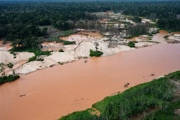 Study: Global Deforestation Slowed in 2025 but Surged in Congo Basin