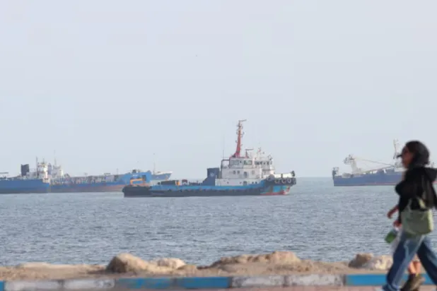 Container Ship Sinks Near Hormuz after Being Hit by Projectile
