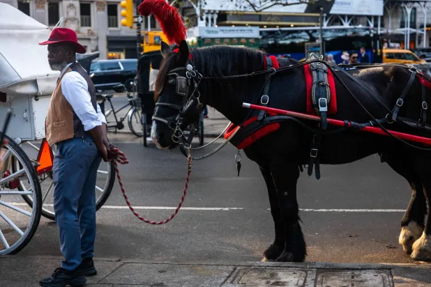 New York to Ban Central Park’s Horse-Drawn Carriages After Teen’s Death