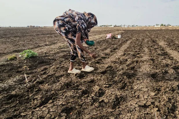 Sudan’s Famine Risk Worsened by Conflict, Drought and Funding Shortages