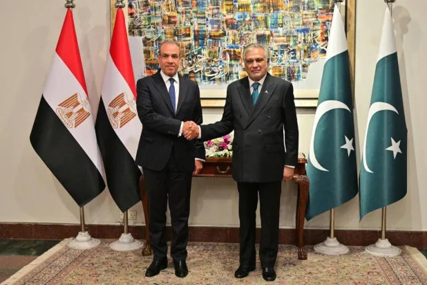 Pakistan, Egypt FMs Condemn Houthi Attacks on Saudi Arabia, Seek Quadrilateral Meeting
