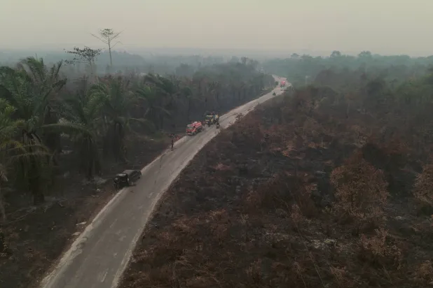 Indonesia Fires Burned Over 1.9 Mn Hectares Through September, Says Monitor