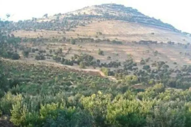 Druze Source Denies Reports of Plans for Israeli Base in Rural Sweida