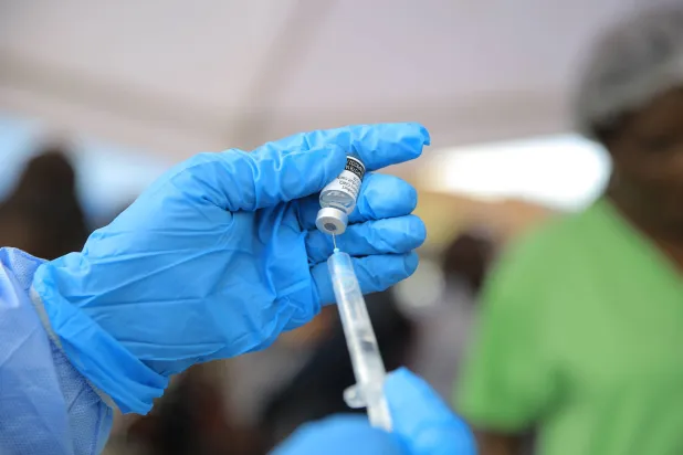 France Reports 1st Human Shamonda Virus Case, Says No Health Risk
