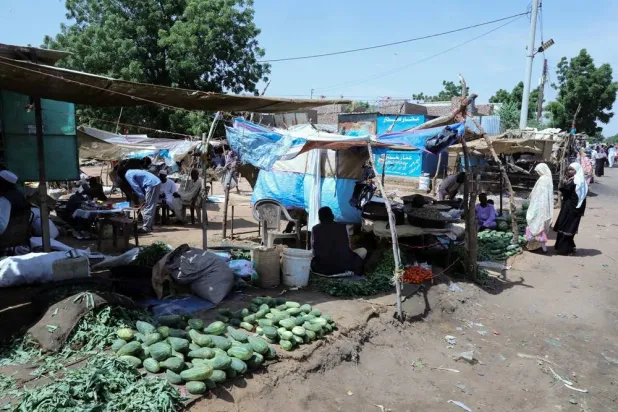Mass Outages in Sudan After RSF Drones Hit Five Power Stations