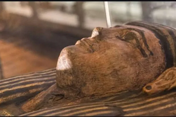 Scottish Museums Remove Mummies from Display to ‘Protect Their Privacy’