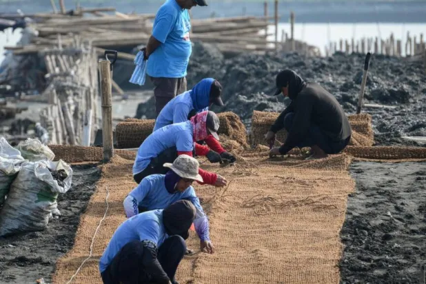 Philippine Island Fights Rising Seas with Nature, Not Concrete