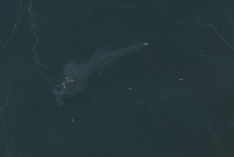 Two cargo ships sunk in Strait of Hormuz as Iran ramps up attacks in run-up to midterms