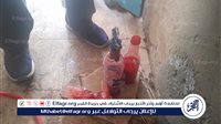 «ختم الحكومة مضروب».. ضبط وكر سري لذبح المواشي وتزوير أختام اللحوم في بني سويف