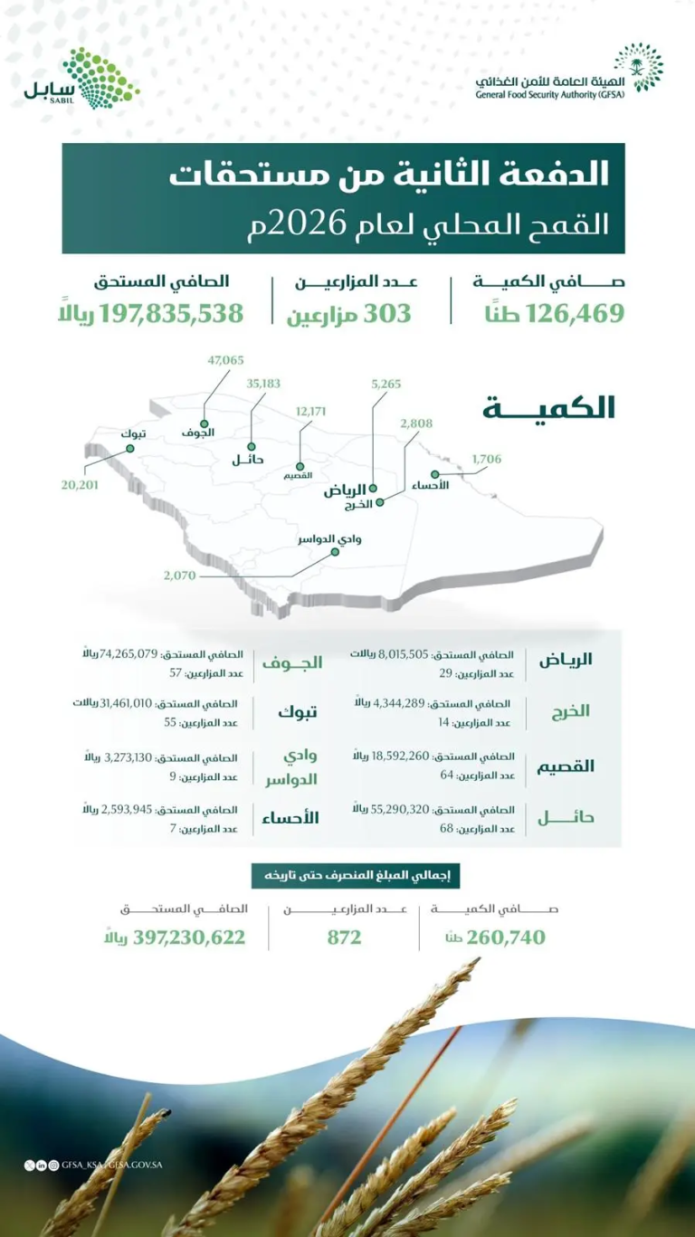 الأمن الغذائي: صرف مستحقات الدفعة الثانية لمزارعي القمح المحلي
