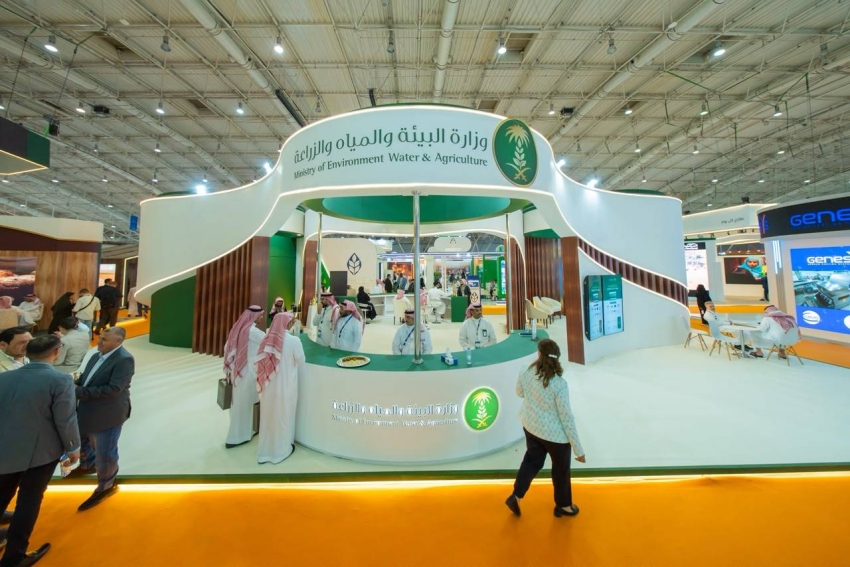 “البيئة”: 5 مبادرات لتوطين صناعة الدواجن بإنتاج يتخطى 1.4 مليون طن