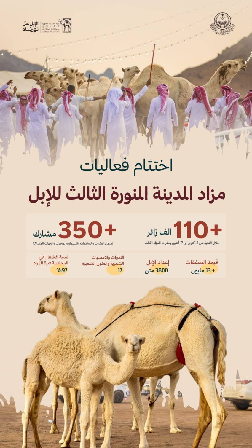 محافظ الحناكية: صفقات مزاد المدينة المنورة الثالث للإبل تتجاوز 13 مليون ريال