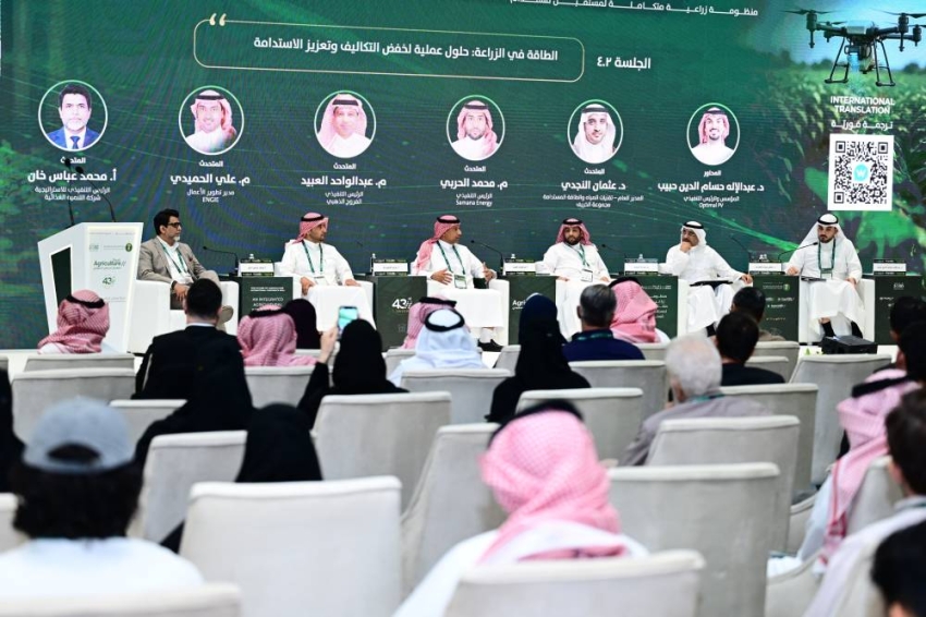 “البيئة”: الطاقة الشمسية تفتح آفاقًا لخفض تكاليف الإنتاج