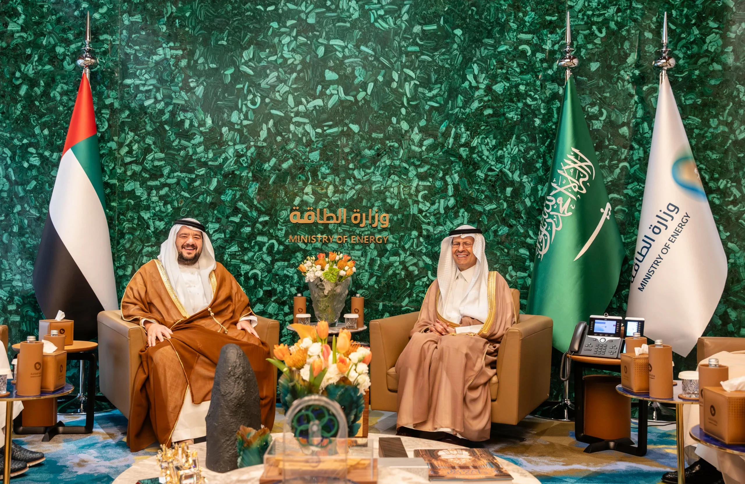 مذكرة تفاهم سعودية إماراتية في الربط الكهربائي والربط السككي