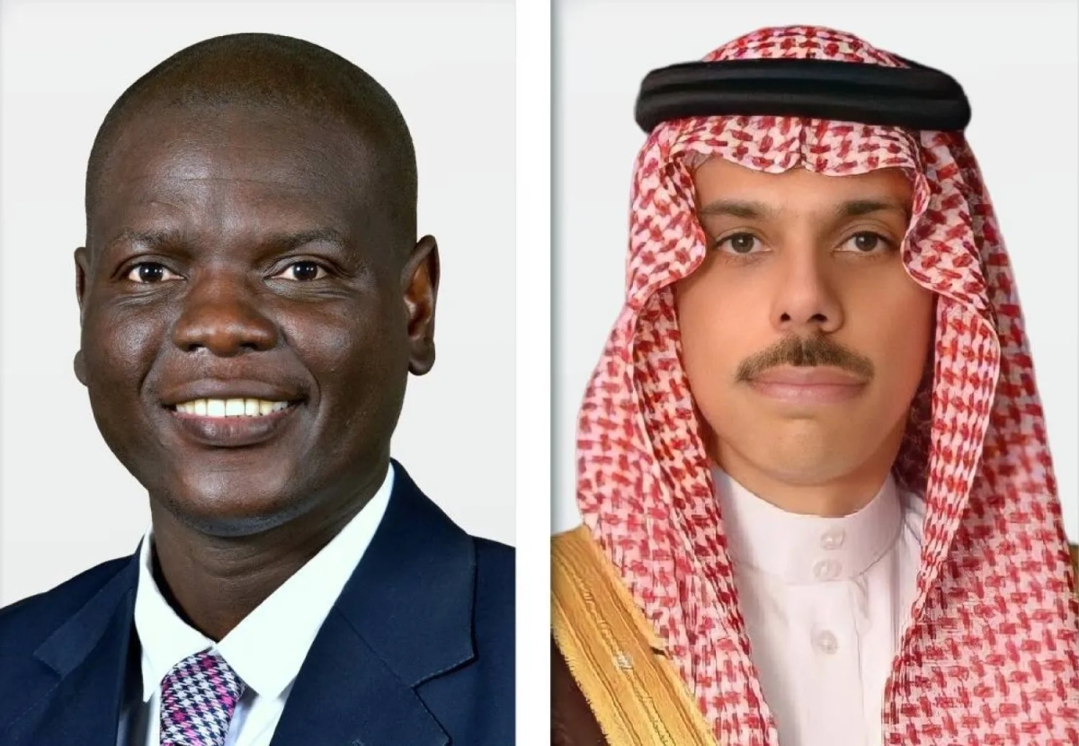 Saudi, South African FMs discuss regional developments in phone call 