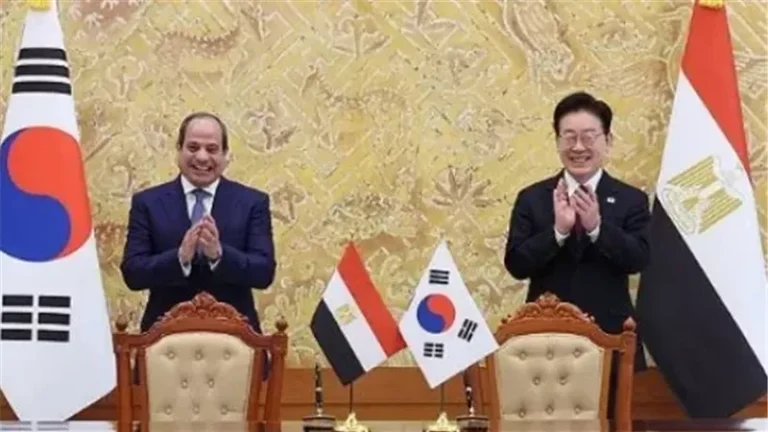 خبير علاقات دولية: السيسي يفتح آفاقا جديدة للشراكة الاستراتيجية مع دول آسيا