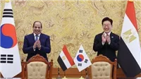 أستاذ اقتصاد: العلاقات مع دول جنوب شرق آسيا تفتح فرصا جديدة للاستثمار والتجارة