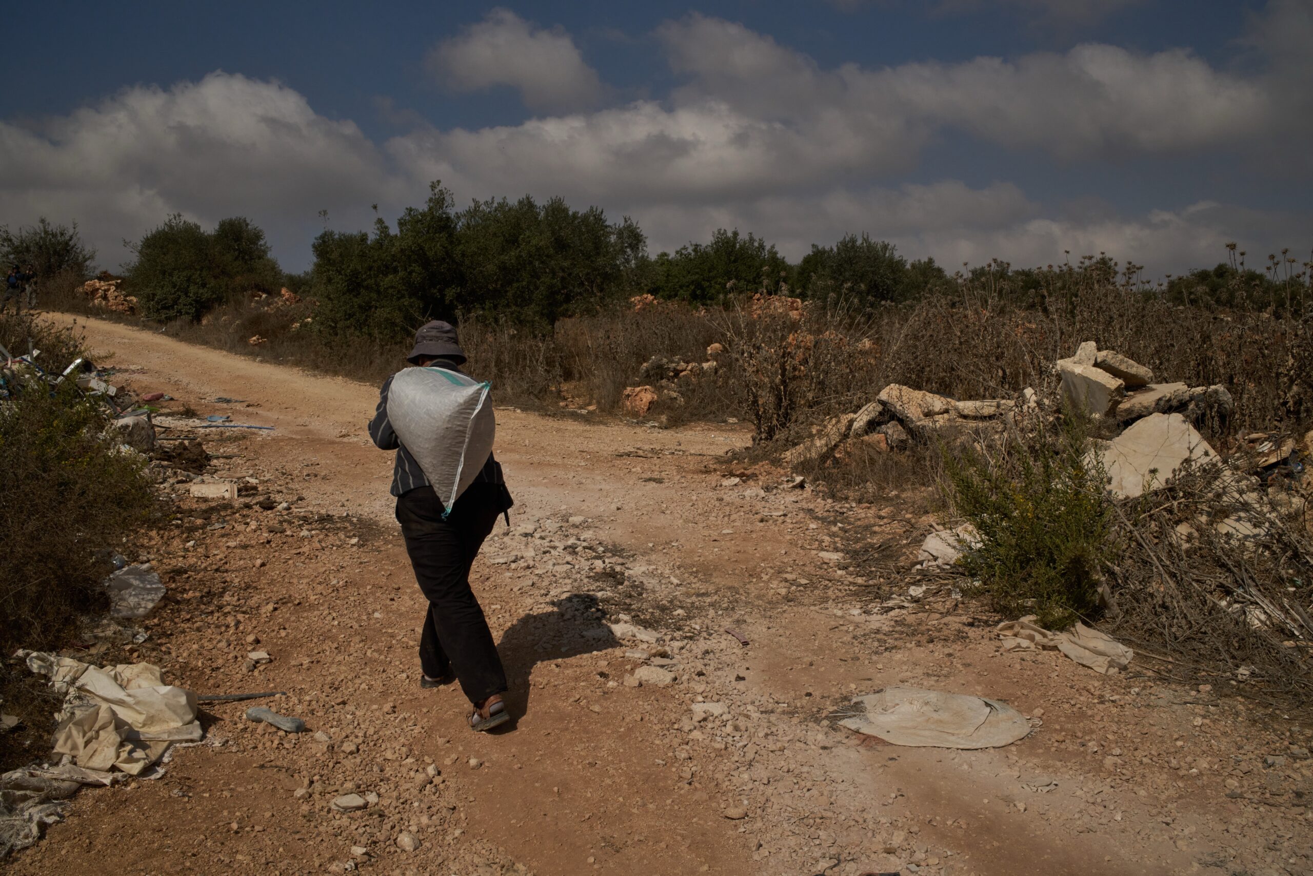 UN warns settler attacks on Palestinian olive harvest are driving displacement, dispossession