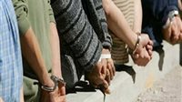 الداخلية تكشف حقيقة فيديو «بلطجة داخل أرض زراعية» بالقليوبية.. مشاجرة بين مزارعين وعاملين بسبب قطعة أرض