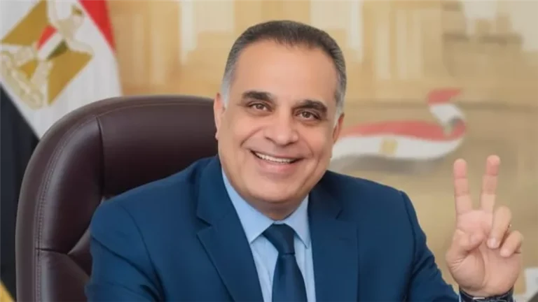 أحمد زكي يكتب: اغتصاب سيارة في وضح النهار.. الجناة في الشوارع والضحايا في الخردة والشهود خلف الكاميرات