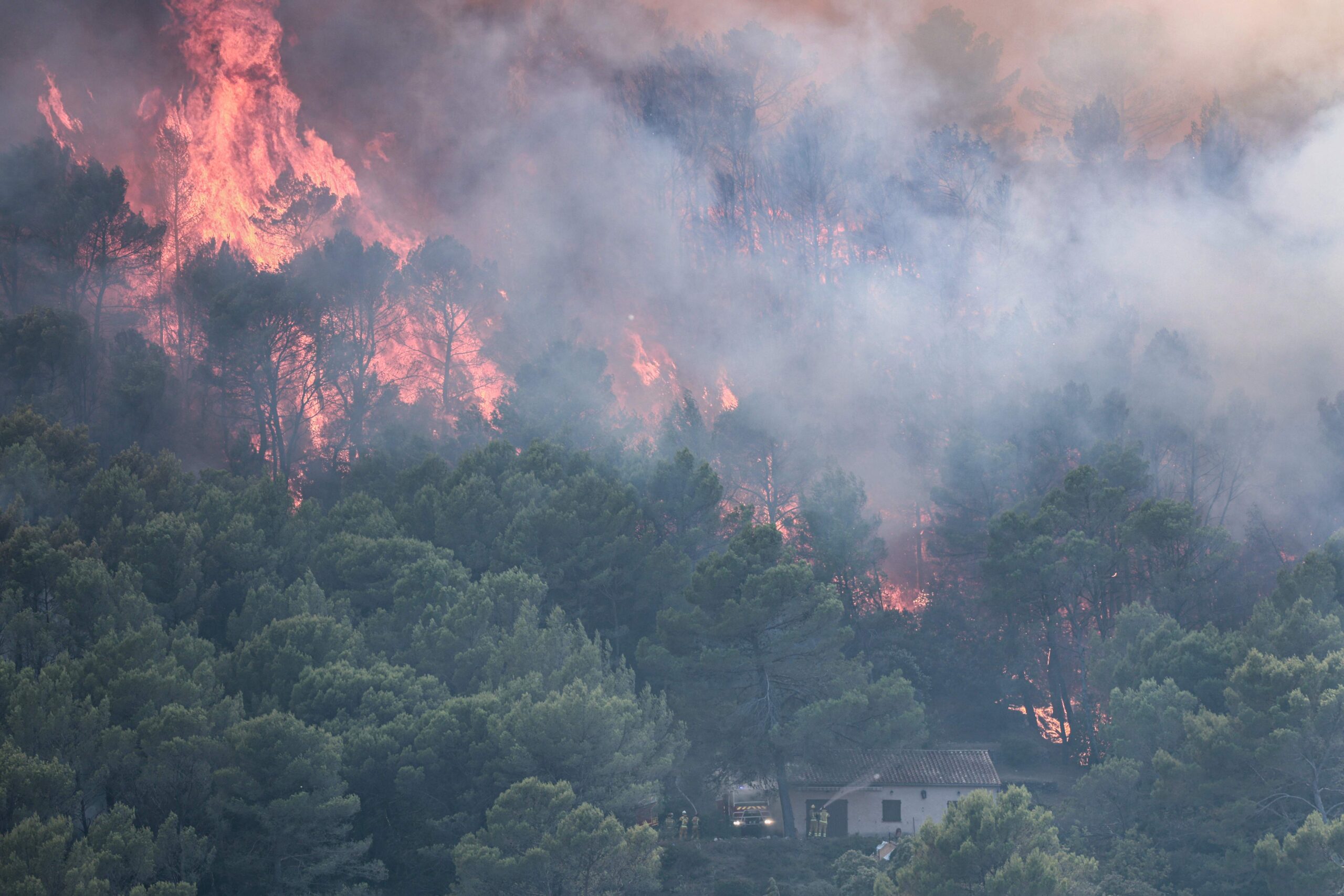 France’s summer wildfires could cost insurers up to 563 mln euros