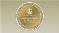 مصر تدين الانتهاكات الإسرائيلية المتكررة للسيادة السورية