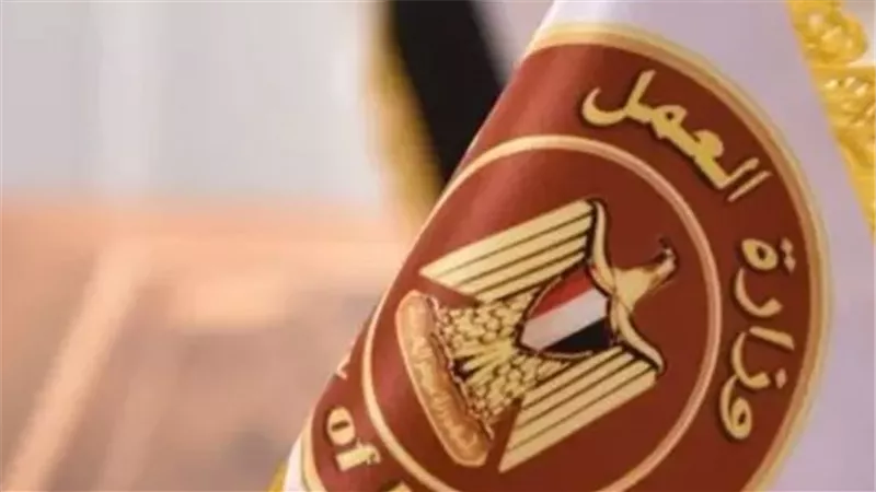 وزير العمل يعلن: 6349 فرصة عمل في 46 شركة قطاع خاص بـ11 محافظة