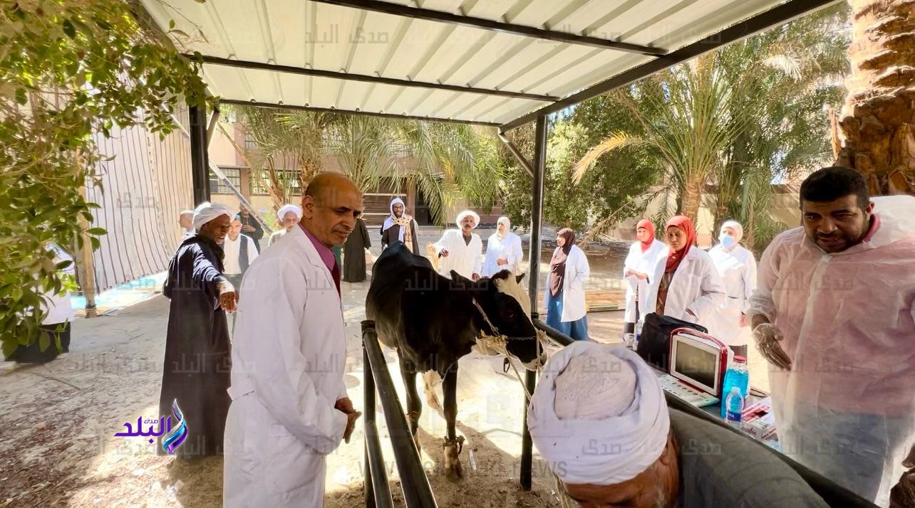 قافلة بيطرية بالغربية تستهدف تقديم الخدمات البيطرية لـ 1614  طائرا وماشية