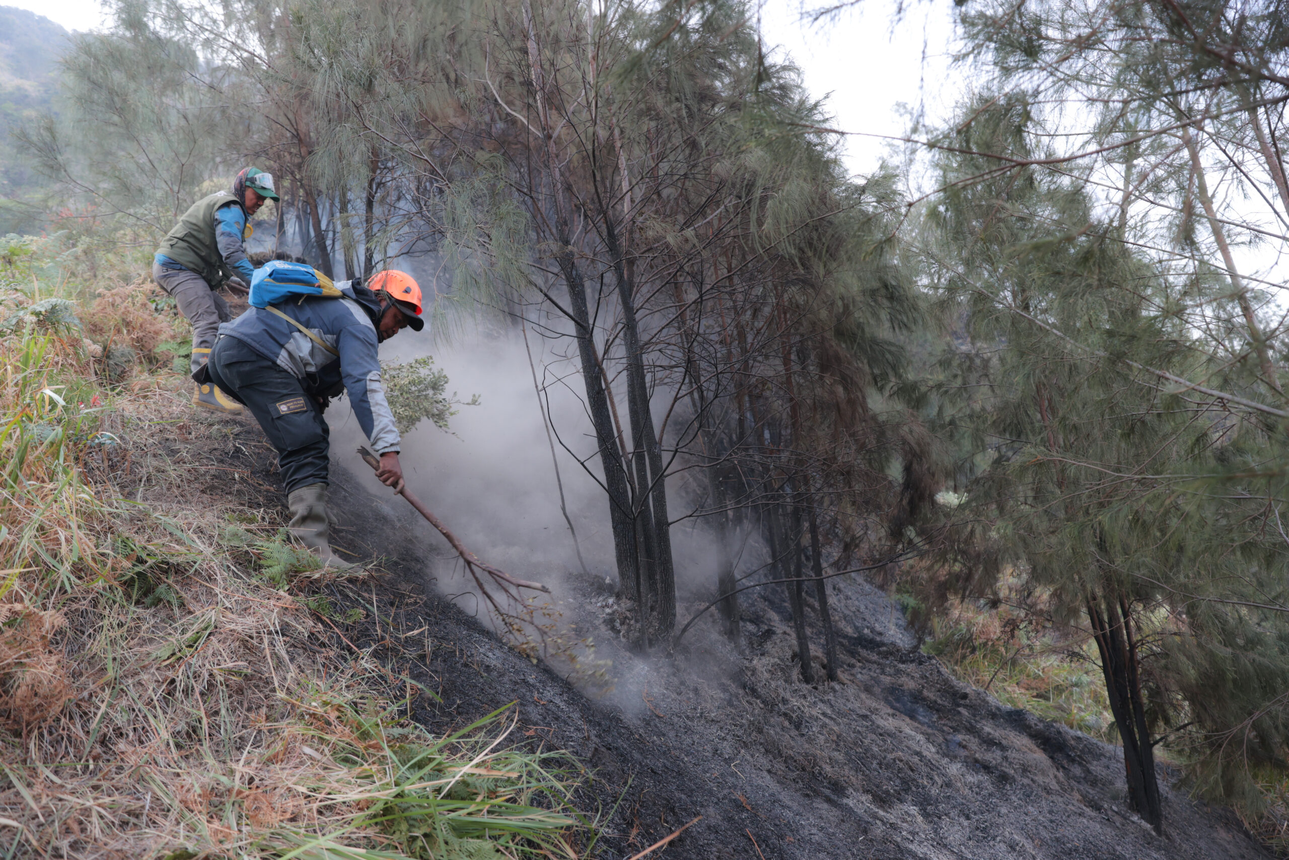 Four killed battling Indonesia fires as toxic haze cloaks region