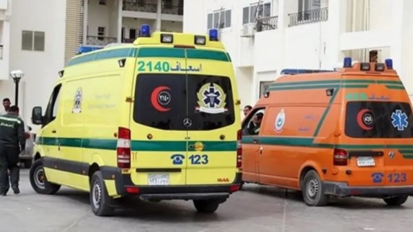شوه جثمانه وتركه بالحمام.. شاب ينهي حياة شقيقه بمصر القديمة