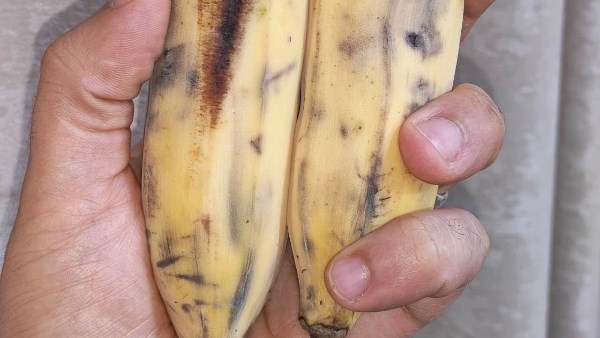 لو شوفته قدامك اوعى تتردد في شرائه.. نوع من الموز فوائده مضاعفة وطعم لا يقاوم