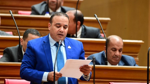 برلماني: انتشار الكلاب الضالة في الشوارع ظاهرة تستلزم تحرك جاد
