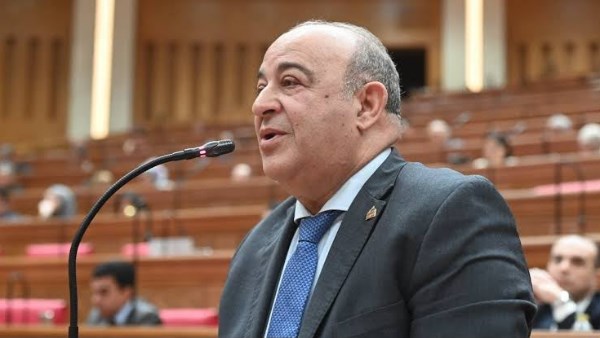 مرشد: رسائل الرئيس السيسي بشأن دعم أمن السعودية تجسد ثوابت السياسة المصرية