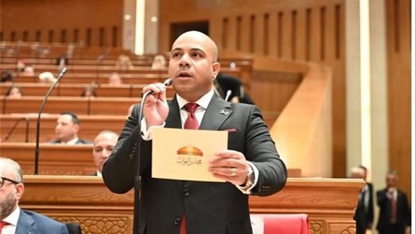 من أول يوم عمل.. برلماني يكشف تفاصيل مشروع قانون لحماية العمالة اليومية والموسمية