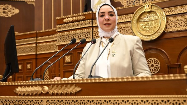 برلمانية: تحذيرات الرئيس السيسي من الإفراط في استخدام مواقع التواصل الاجتماعي جرس إنذار لحماية وعي المصريين