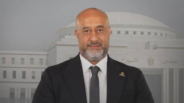 حسام سعيد: تطوير بنك الاستثمار القومي ضرورة لتعظيم أصول الدولة
