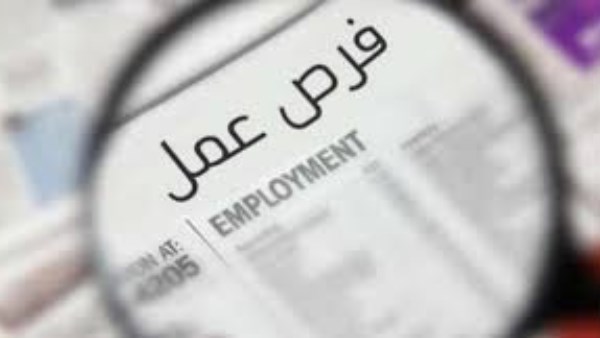 في 13 محافظة ورواتب 20 ألف جنيه .. 1095 فرصة عمل جديدة للشباب