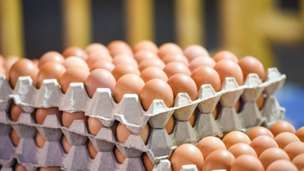 بعد شهور من التراجع.. قفزة مفاجئة في أسعار البيض وهذا سعر الكرتونة؟