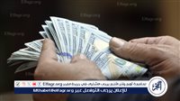 البنك المركزي: صافي الأصول الأجنبية للقطاع المصرفي يقفز إلى 31.2 مليار دولار في أغسطس.. أعلى مستوى منذ 6 سنوات