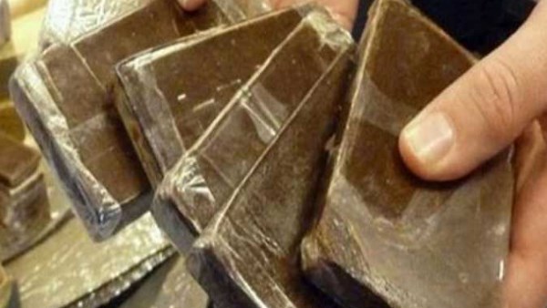 99% حشيش.. حقوق الإنسان تكشف مفاجأة بشأن 6500 موظف فصلوا بسبب المخدرات