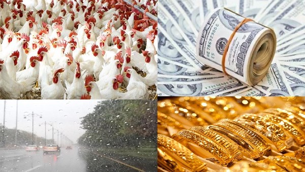 أخبار التوك شو| كيلو الدواجن بـ115 جنيهًا ومقترح لبيعها بخصم 25% عبر منافذ التموين.. مفاجأة بشأن الذهب والدولار