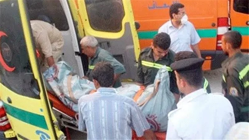 إصابة 5 أشخاص بينهم 3 ألمان في انقلاب سيارة دفع رباعي بطريق الشلالات بالفيوم