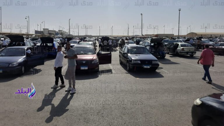 محمد سلامة لـ صدى البلد: عودة الأوفر برايس مرتبطة بنقص المعروض.. وارتفاع أسعار السيارات ليس حتميا